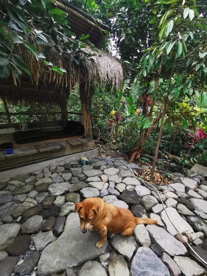 Les Garden Villa Tejakula Esterno foto