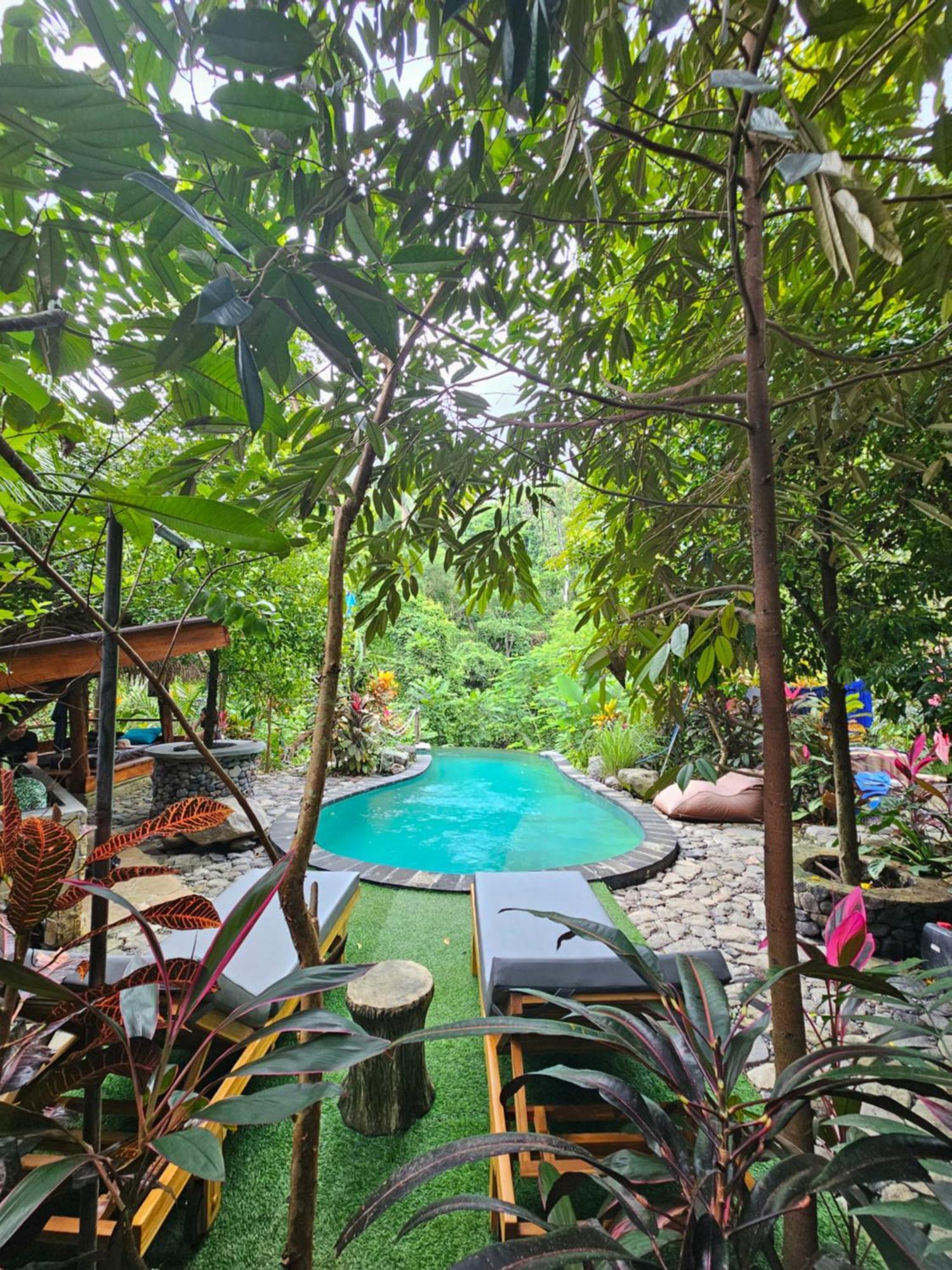 Les Garden Villa Tejakula Esterno foto