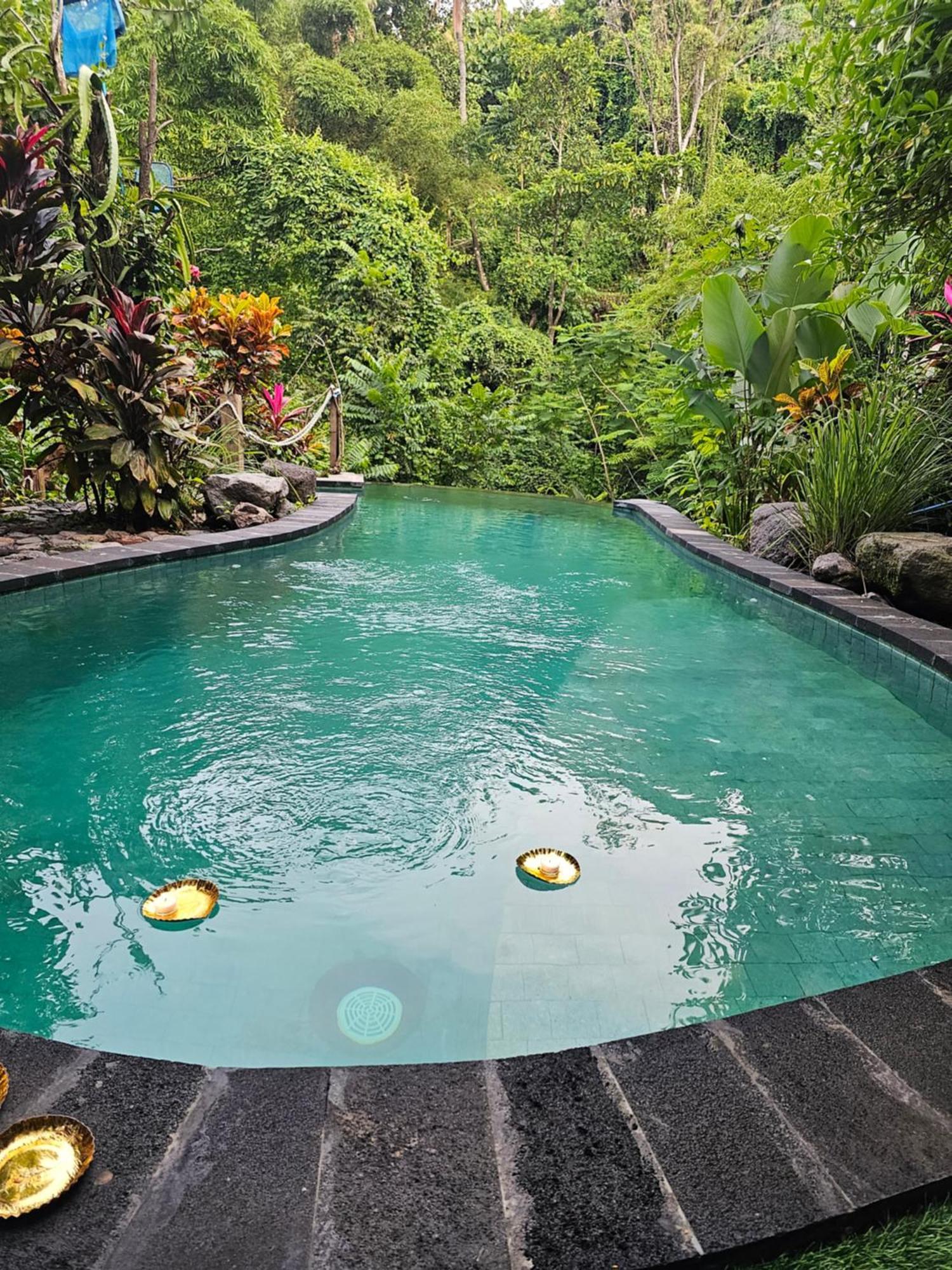 Les Garden Villa Tejakula Esterno foto