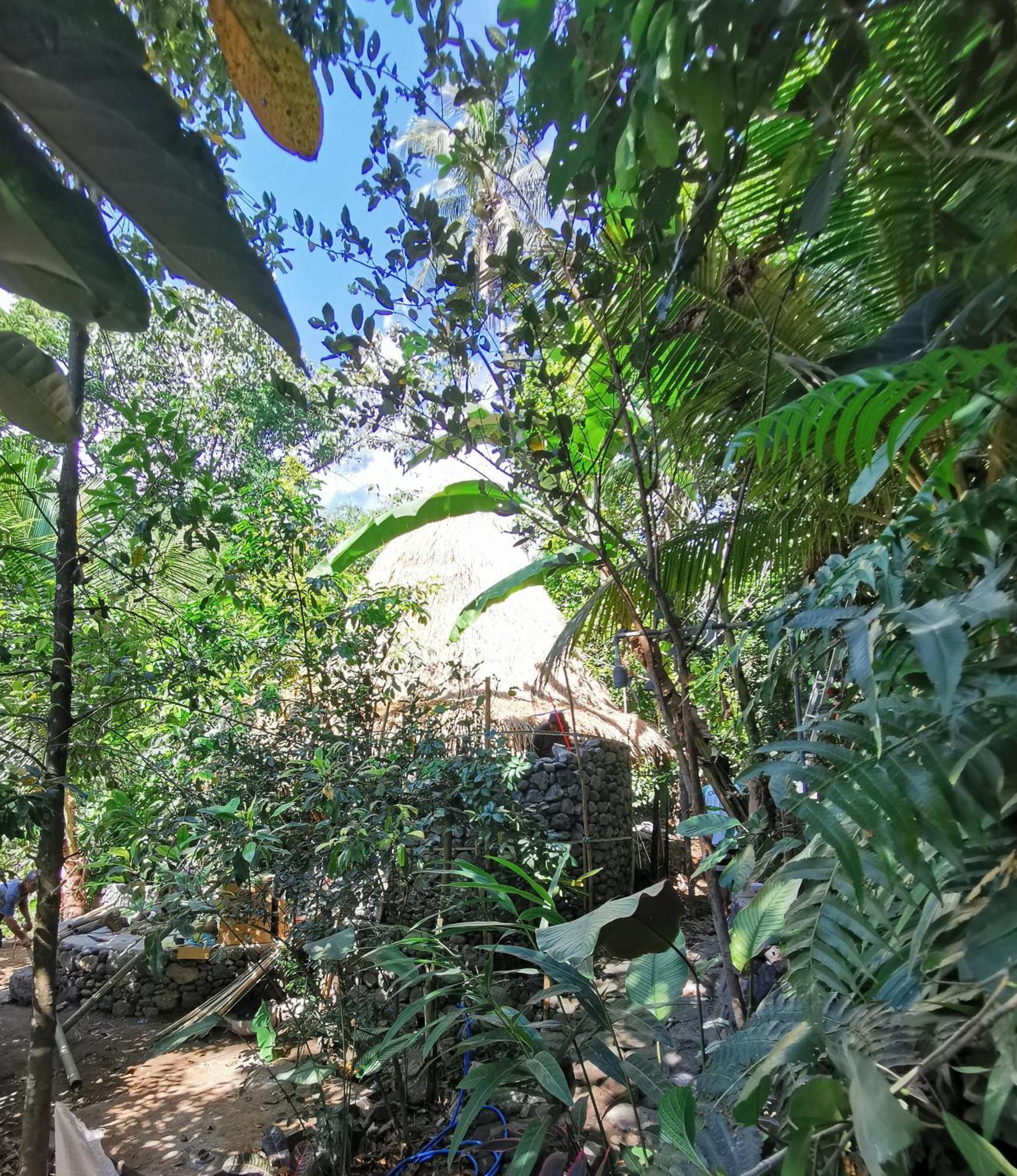 Les Garden Villa Tejakula Esterno foto