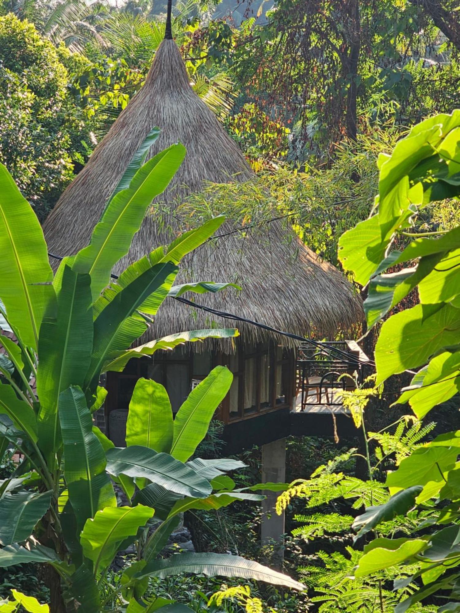 Les Garden Villa Tejakula Esterno foto
