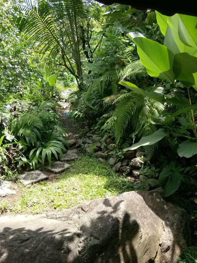 Les Garden Villa Tejakula Esterno foto