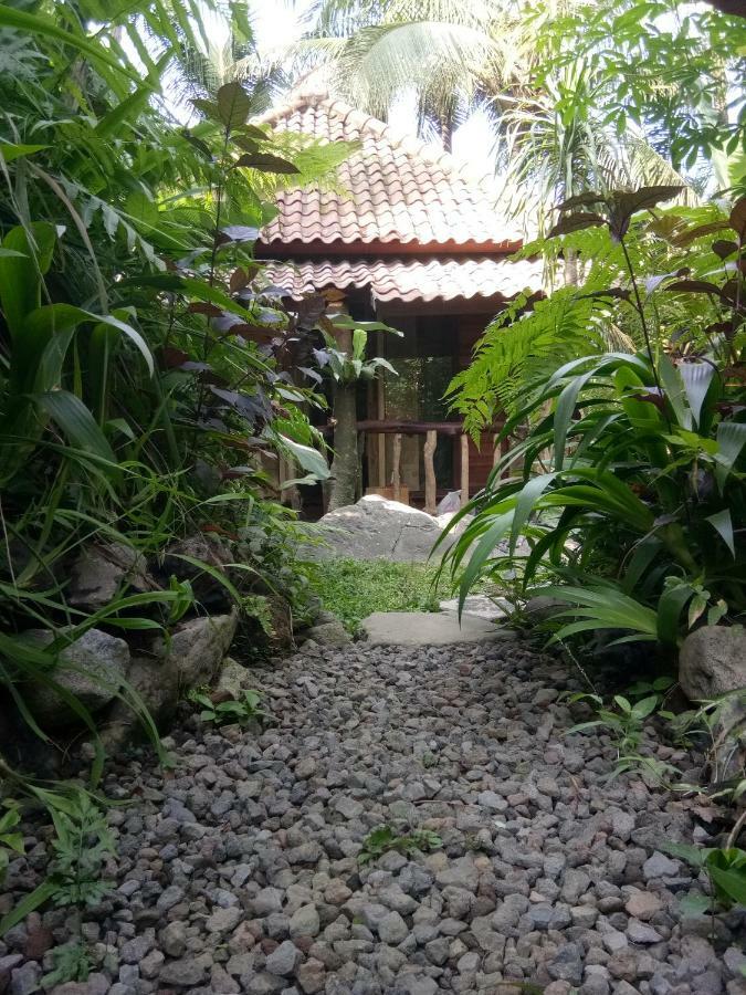 Les Garden Villa Tejakula Esterno foto